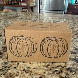 Farmhouse Pumpkin Salt Pepper Shaker Set Thanksgiving Decor